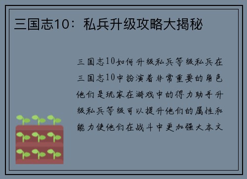 三国志10：私兵升级攻略大揭秘